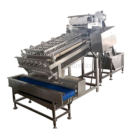 Prawns sheller